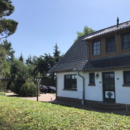 Haus Hugo Zingst Exterior foto